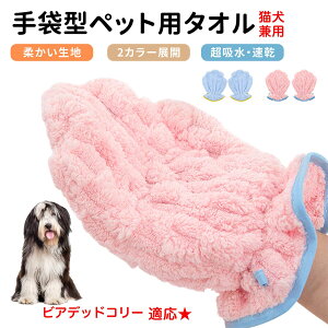 y5{|CgzrAfbhER[iBearded Colliej ybgpoX^I z  O[~OO[u  L hC^I  L p z܃^I ybgpoXO[u hC[^I