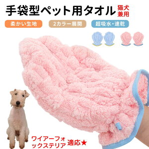 y5{|CgzC[tHbNXeAiWire Fox Terrierj ybgpoX^I z  O[~OO[u  L hC^I  L p z܃^I ybgpoXO[u hC