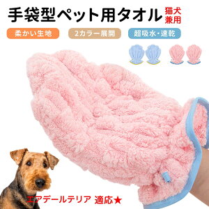 y10{|CgzGAf[EeAiAiredale Terrierj ybgpoX^I z  O[~OO[u  L hC^I  L p z܃^I ybgpoXO[u hC[^