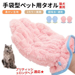 y5{|CgzueBbVOwA British Longhair ybgpoX^I z  O[~OO[u  L hC^I  L p z܃^I ybgpoXO[u hC[