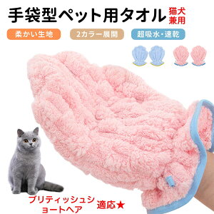 y10{|CgzueBbVV[gwA British Shorthair ybgpoX^I z  O[~OO[u  L hC^I  L p z܃^I ybgpoXO[u hC