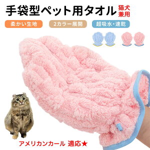 y10{|CgzAJJ[ American Curl ybgpoX^I z  O[~OO[u  L hC^I  L p z܃^I ybgpoXO[u hC[^I y