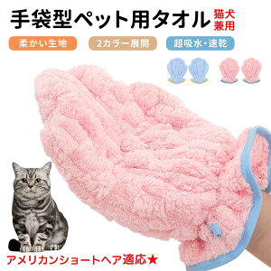 AJV[gwA American Shorthair ybgpoX^I z  O[~OO[u  L hC^I  L p z܃^I ybgpoXO[u hC[^I ybgp