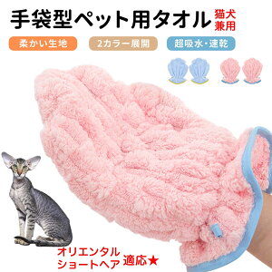 y5{|CgzIG^V[gwA Oriental Shorthair ybgpoX^I z  O[~OO[u  L hC^I  L p z܃^I ybgpoXO[u hC