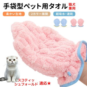 y10{|CgzXReBbVtH[h XR Scottish Fold ybgpoX^I z  O[~OO[u  L hC^I  L p z܃^I ybgpoXO[u hC