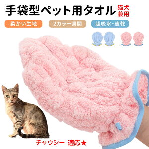 `EV[ Chausie ybgpoX^I z  O[~OO[u  L hC^I  L p z܃^I ybgpoXO[u hC[^I ybgp^I ybghC