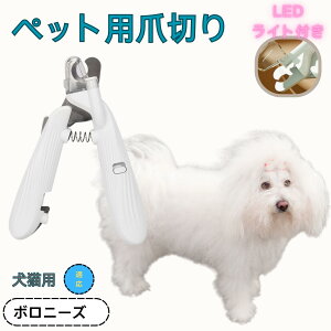 y10{|Cgz{j[YiBolognesej ybgpܐ؂ Lܐ؂ LEDCgt  ܐ؂ ߂LplCg}[ ̒ܐ؂ ȒP S҂ɂȒP ^ RpNg ^т