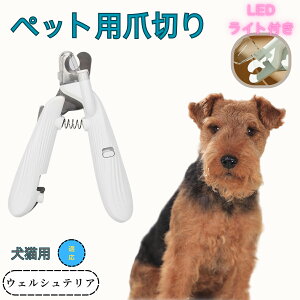EFVeAiWelsh Terrierj ybgpܐ؂ Lܐ؂ LEDCgt  ܐ؂ ߂LplCg}[ ̒ܐ؂ ȒP S҂ɂȒP ^ RpNg ^т₷ X