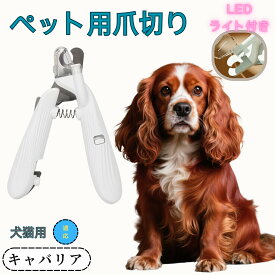 「最大15%オフクーポン」 キャバリア ペット用爪切り 犬猫爪切り LEDライト付き 犬 爪切り つめきり猫用ネイルトリマー 犬の爪切り 簡単操作 初心者にも簡単 小型 コンパクト 持ち運びやすい ステンレス製 ネイルケア 爪切り 小動物に対応