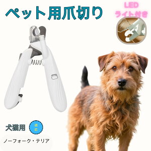 y5{|Cgzm[tH[NeA ybgpܐ؂ Lܐ؂ LEDCgt  ܐ؂ ߂LplCg}[ ̒ܐ؂ ȒP S҂ɂȒP ^ RpNg ^т₷