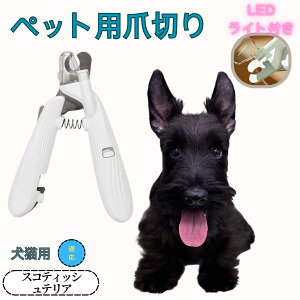 y10{|CgzXReBbVeA ybgpܐ؂ Lܐ؂ LEDCgt  ܐ؂ ߂LplCg}[ ̒ܐ؂ ȒP S҂ɂȒP ^ RpNg ^т