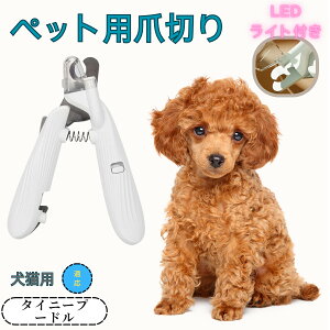 y10{|Cgz^Cj[v[hiTiny Poodlej ybgpܐ؂ Lܐ؂ LEDCgt  ܐ؂ ߂LplCg}[ ̒ܐ؂ ȒP S҂ɂȒP ^ RpNg 