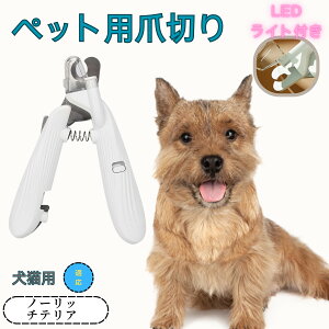 y10{|Cgzm[b`eAiNorwich Terrierj ybgpܐ؂ Lܐ؂ LEDCgt  ܐ؂ ߂LplCg}[ ̒ܐ؂ ȒP S҂ɂȒP ^ RpNg 