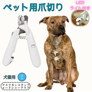 y10{|CgzAJEX^btH[hV[EeA ybgpܐ؂ Lܐ؂ LEDCgt  ܐ؂ ߂LplCg}[ ̒ܐ؂ ȒP S҂ɂȒP ^ R