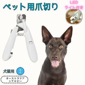 y10{|CgzI[XgAEPs[ ybgpܐ؂ Lܐ؂ LEDCgt  ܐ؂ ߂LplCg}[ ̒ܐ؂ ȒP S҂ɂȒP ^ RpNg 