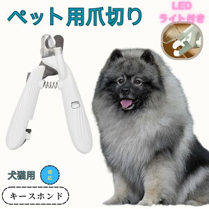 y10{|CgzL[XzhiKeeshondj ybgpܐ؂ Lܐ؂ LEDCgt  ܐ؂ ߂LplCg}[ ̒ܐ؂ ȒP S҂ɂȒP ^ RpNg ^т