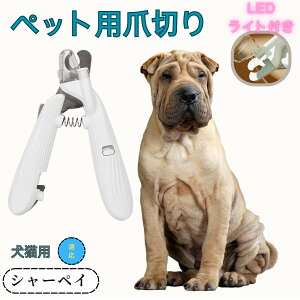 y10{|CgzV[yCiShar Peij ybgpܐ؂ Lܐ؂ LEDCgt  ܐ؂ ߂LplCg}[ ̒ܐ؂ ȒP S҂ɂȒP ^ RpNg ^т₷