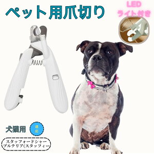 y5{|CgzX^btH[hV[EuEeA ybgpܐ؂ Lܐ؂ LEDCgt  ܐ؂ ߂LplCg}[ ̒ܐ؂ ȒP S҂ɂȒP ^ RpN