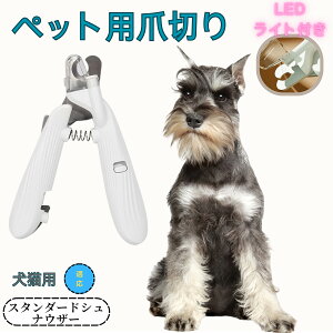 y10{|CgzR[CPzfBG ybgpܐ؂ Lܐ؂ LEDCgt  ܐ؂ ߂LplCg}[ ̒ܐ؂ ȒP S҂ɂȒP ^ RpNg ^т