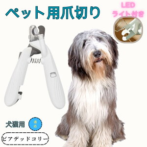 y10{|CgzrAfbhER[ ybgpܐ؂ Lܐ؂ LEDCgt  ܐ؂ ߂LplCg}[ ̒ܐ؂ ȒP S҂ɂȒP ^ RpNg ^т₷