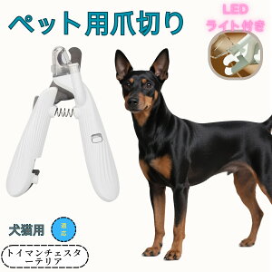 y10{|CgzgC}`FX^[eA ybgpܐ؂ Lܐ؂ LEDCgt  ܐ؂ ߂LplCg}[ ̒ܐ؂ ȒP S҂ɂȒP ^ RpNg ^