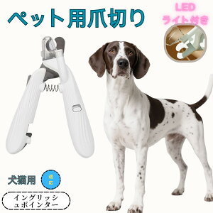 y10{|CgzW[}V[gwA[h|C^[ ybgpܐ؂ Lܐ؂ LEDCgt  ܐ؂ ߂LplCg}[ ̒ܐ؂ ȒP S҂ɂȒP ^ Rp