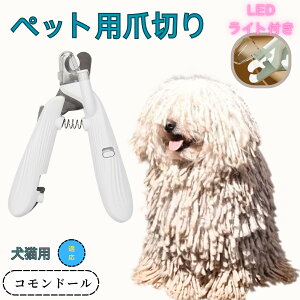 y10{|CgzRh[iKomondorj ybgpܐ؂ Lܐ؂ LEDCgt  ܐ؂ ߂LplCg}[ ̒ܐ؂ ȒP S҂ɂȒP ^ RpNg ^т