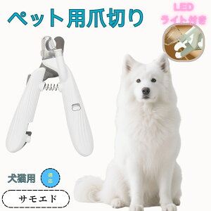 y10{|CgzTGhiSamoyedj ybgpܐ؂ Lܐ؂ LEDCgt  ܐ؂ ߂LplCg}[ ̒ܐ؂ ȒP S҂ɂȒP ^ RpNg ^т₷ 