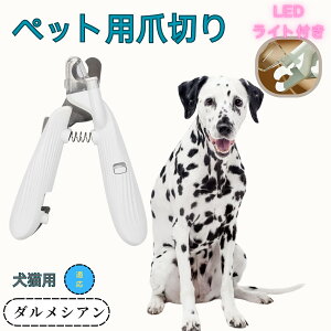 y10{|Cgz_VAiDalmatianj ybgpܐ؂ Lܐ؂ LEDCgt  ܐ؂ ߂LplCg}[ ̒ܐ؂ ȒP S҂ɂȒP ^ RpNg ^