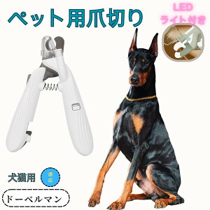 y5{|Cgzh[x} ybgpܐ؂ Lܐ؂ LEDCgt  ܐ؂ ߂LplCg}[ ̒ܐ؂ ȒP S҂ɂȒP ^ RpNg ^т₷ Xe