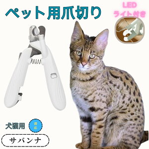 y5{|CgzToi ybgpܐ؂ Lܐ؂ LEDCgt  ܐ؂ ߂LplCg}[ ̒ܐ؂ ȒP S҂ɂȒP ^ RpNg ^т₷ Xe