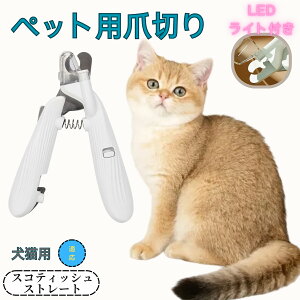 y10{|CgzXReBbVXg[g ybgpܐ؂ Lܐ؂ LEDCgt  ܐ؂ ߂LplCg}[ ̒ܐ؂ ȒP S҂ɂȒP ^ RpNg ^