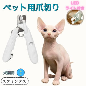 y10{|CgzXtBNX ybgpܐ؂ Lܐ؂ LEDCgt  ܐ؂ ߂LplCg}[ ̒ܐ؂ ȒP S҂ɂȒP ^ RpNg ^т₷ Xe