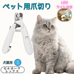 y10{|CgzZJ[NbNX ybgpܐ؂ Lܐ؂ LEDCgt  ܐ؂ ߂LplCg}[ ̒ܐ؂ ȒP S҂ɂȒP ^ RpNg ^т₷