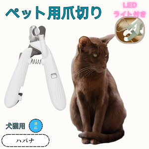 y10{|Cgznoi ybgpܐ؂ Lܐ؂ LEDCgt  ܐ؂ ߂LplCg}[ ̒ܐ؂ ȒP S҂ɂȒP ^ RpNg ^т₷ XeX