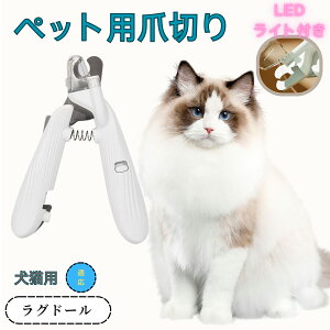 y10{|CgzOh[ ybgpܐ؂ Lܐ؂ LEDCgt  ܐ؂ ߂LplCg}[ ̒ܐ؂ ȒP S҂ɂȒP ^ RpNg ^т₷ Xe