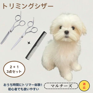 }`[Y Maltese @@g~OVU[@ybg@@L@O[~O@Ztg~O@JbgoT~@ybgpnT~@ybgpi@XeX@vdl@SOK@