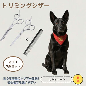 XLbp[L Schipperke @@g~OVU[@ybg@@L@O[~O@Ztg~O@JbgoT~@ybgpnT~@ybgpi@XeX@vdl@SOK
