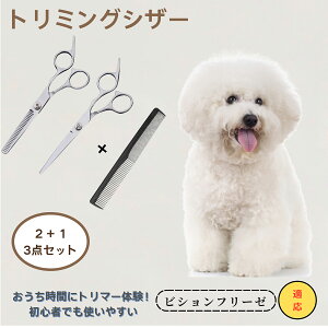 rVt[[ Bichon Fris? @@g~OVU[@ybg@@L@O[~O@Ztg~O@JbgoT~@ybgpnT~@ybgpi@XeX@vdl@