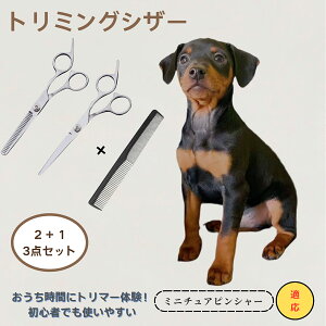 ミニチュアピンシャー ミニピン Miniature Pinscher  送料無料 トリミングシザー ペット 犬 猫 グルーミング セルフトリミング カットバサミ ペット用ハサミ ペット用品 ステンレ