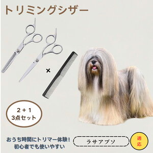 TAv\ Lhasa Apso @@g~OVU[@ybg@@L@O[~O@Ztg~O@JbgoT~@ybgpnT~@ybgpi@XeX@vdl@SOK@