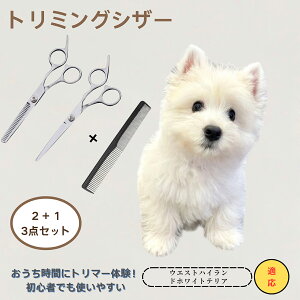 �E�G�X�g�n�C�����h�z���C�g�e���A West Highland White Terrier �@���������@�g���~���O�V�U�[�@�y�b�g�@���@�L�@�O���[�~���O�@�Z���t�g���~���O�@�J�b�g�o�T�~�@�y�b�g�p�n�T�~�@�y�b�g�p�i