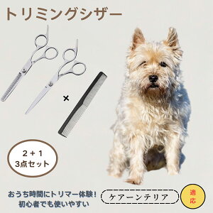 PA[eA Cairn Terrier @@g~OVU[@ybg@@L@O[~O@Ztg~O@JbgoT~@ybgpnT~@ybgpi@XeX@vdl@S