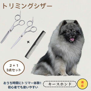 L[Xzh Keeshond @@g~OVU[@ybg@@L@O[~O@Ztg~O@JbgoT~@ybgpnT~@ybgpi@XeX@vdl@SOK@
