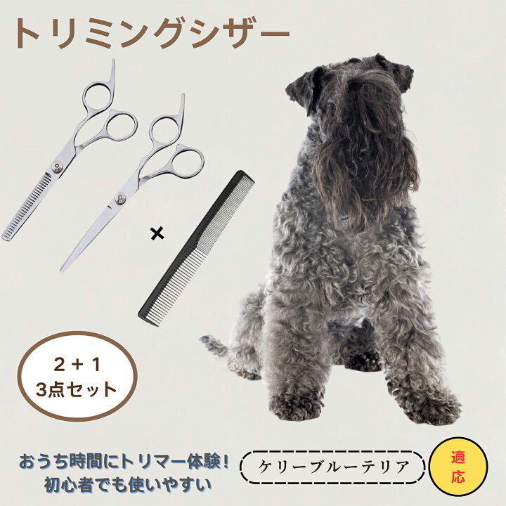 楽天市場】ケリーブルーテリア Kerry Blue Terrier 送料無料 