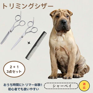 V[yC Shar Pei Chinese Shar Pei @@g~OVU[@ybg@@L@O[~O@Ztg~O@JbgoT~@ybgpnT~@ybgpi@XeX@vdl@