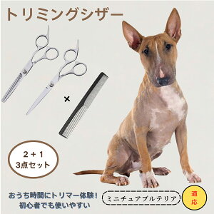 ~j`AueA ~j`AEuEeA Miniature Bull Terrier @@g~OVU[@ybg@@L@O[~O@Ztg~O@JbgoT~@ybgpnT~@y