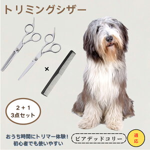 rAfbhR[ Bearded Collie @@g~OVU[@ybg@@L@O[~O@Ztg~O@JbgoT~@ybgpnT~@ybgpi@XeX@vdl@