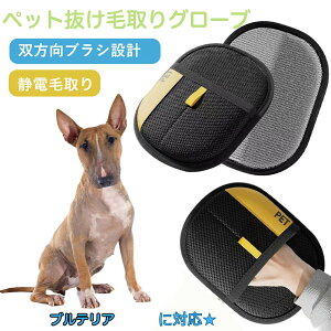 y10{|Cgz~j`AEueAiMiniature Bull Terrierj ybgpÓdC ybgpюO[u L̖ю ybgpiybg uV  O[uybg L  N[