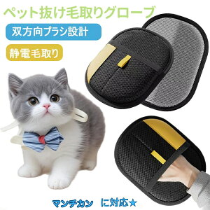 y5{|CgzyV yVL Persian ybgpÓdC ybgpюO[u L̖ю ybgpiybg uV  O[uybg L  N[i[ тƂ y